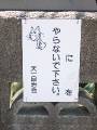 IMG_4074 * 1704 x 2272 * (1.22MB)