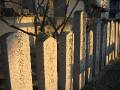 IMG_4101 * 2272 x 1704 * (1.24MB)
