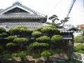 IMG_4112 * 2272 x 1704 * (1.23MB)