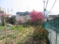 IMG_4116 * 2272 x 1704 * (1.71MB)