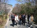 IMG_4293 * 2272 x 1704 * (1.23MB)